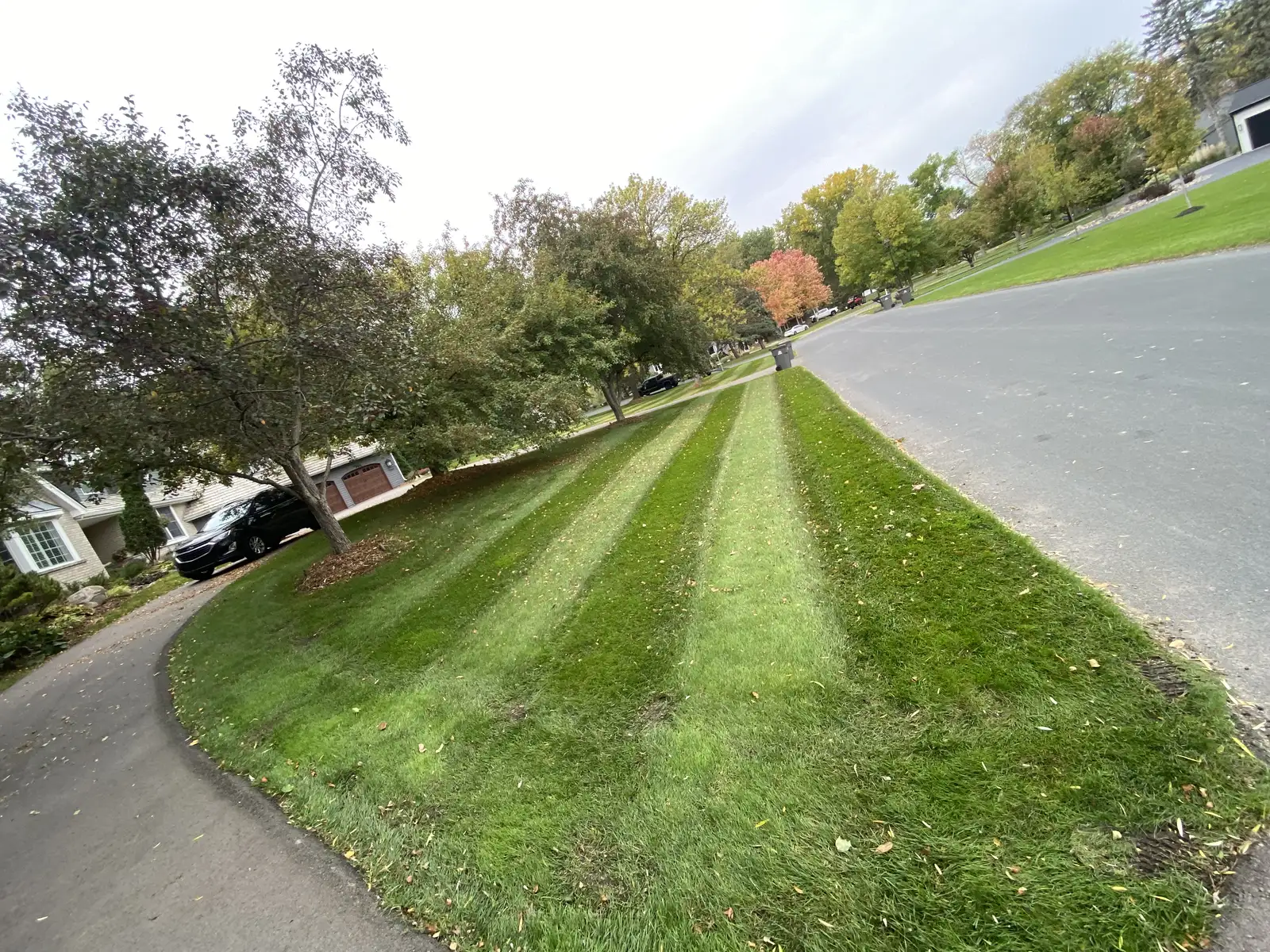 Professionally maintained and striped residential lawn by Lifecycle Outdoor Services in the Lake Minnetonka area
