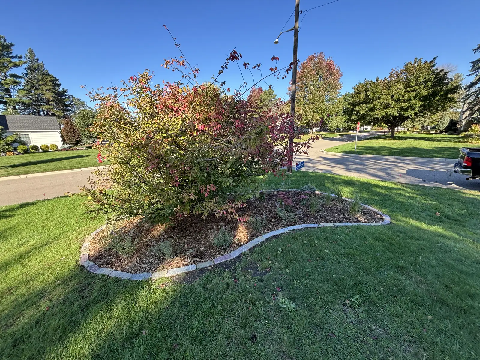 Maintained front yard with fresh mulch beds, stepping stones, and clean edging