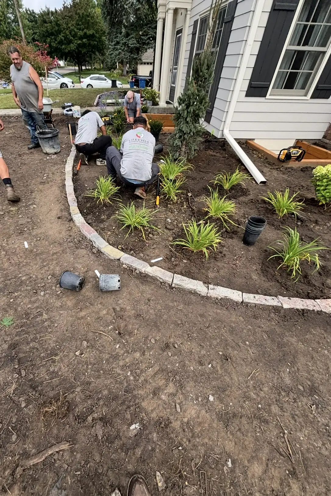 Hopkins planting — installation in progress