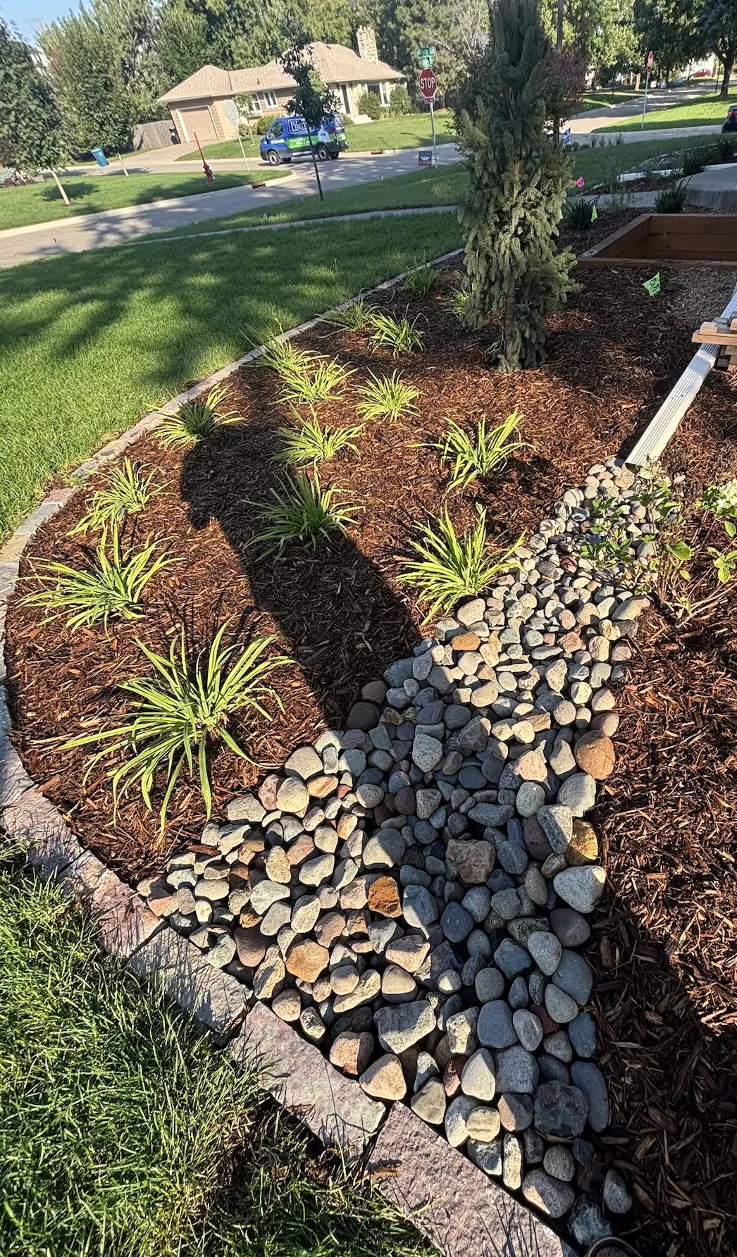Hopkins planting — completed landscaping