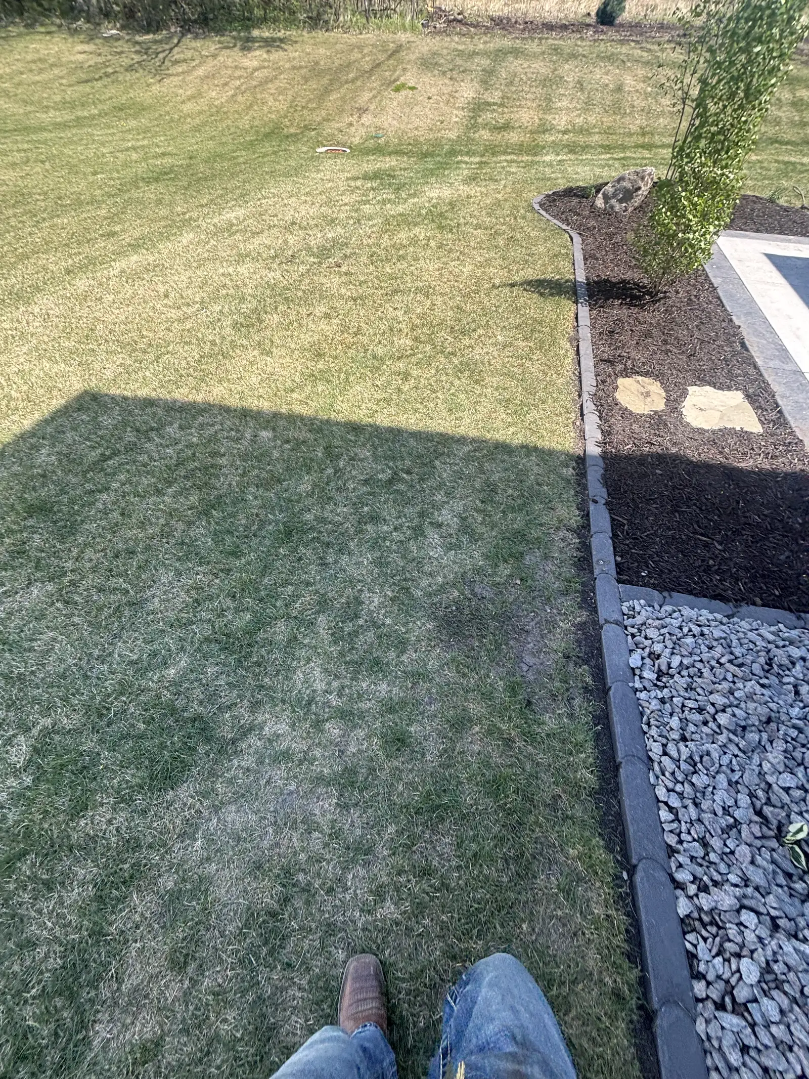 Hydrangea and tree planting installation at Medina, MN new construction home