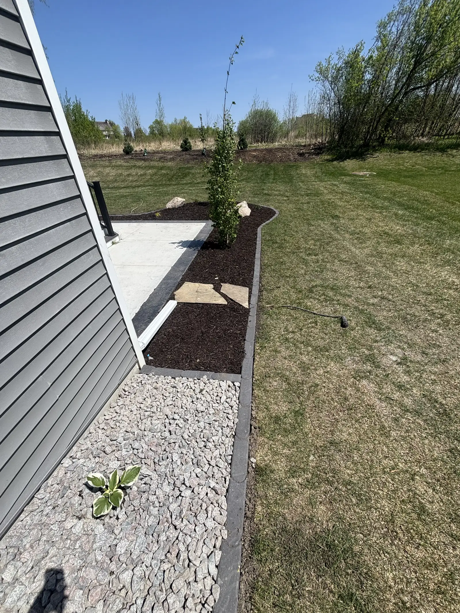 Hydrangea and tree plantings designed for privacy and curb appeal in Medina, MN