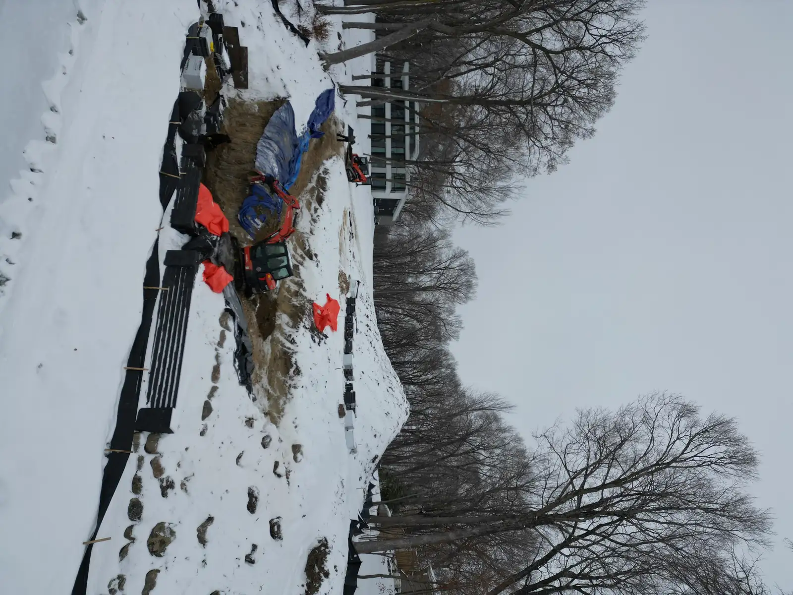 Mound shoreline stabilization — completed hillside view